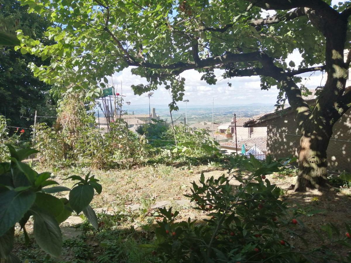 Orto Di Emma Apartment Сан Джиминяно Екстериор снимка